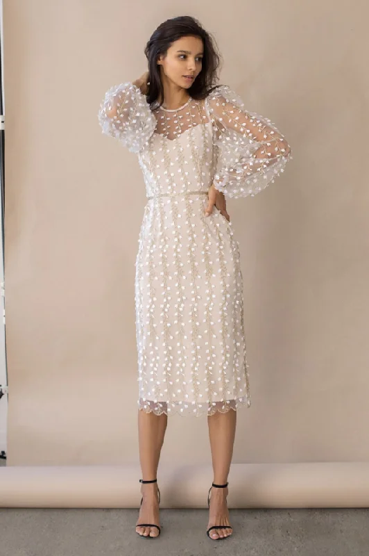Embroidered Sheer Fitted Dress